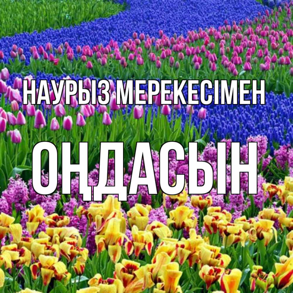 Күн сайын ашық хат с именем, ОҢДАСЫН Наурыз мерекесімен цветы Онлайн тегін жүктеп алу тілектері бар керемет карта 
