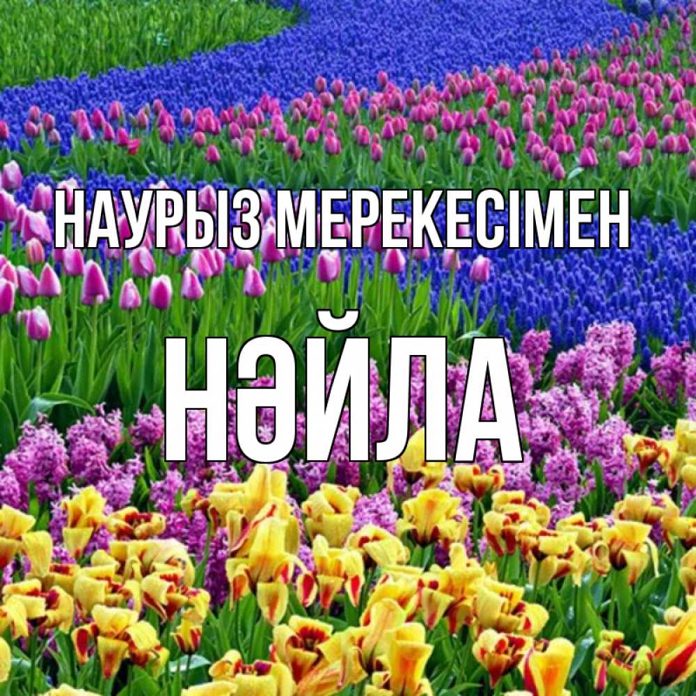 Күн сайын ашық хат с именем, НӘЙЛА Наурыз мерекесімен цветы Онлайн тегін жүктеп алу тілектері бар керемет карта 