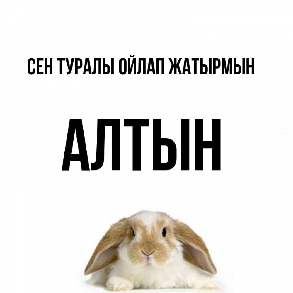 Күн сайын ашық хат с именем, АЛТЫН Сен туралы ойлап жатырмын подписать своими руками онлайн Онлайн тегін жүктеп алу тілектері бар керемет карта 