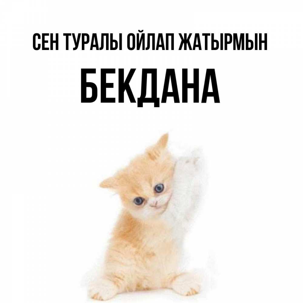 Күн сайын ашық хат с именем, БЕКДАНА Сен туралы ойлап жатырмын зверушки и милота Онлайн тегін жүктеп алу тілектері бар керемет карта 