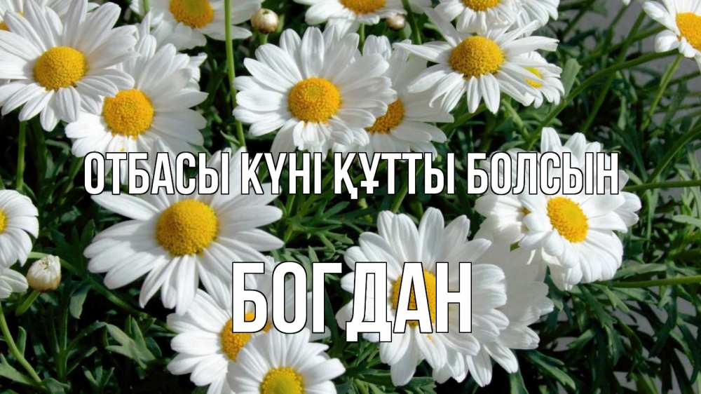 Күн сайын ашық хат с именем, Богдан отбасы күні құтты болсын с днем семьи Онлайн тегін жүктеп алу тілектері бар керемет карта 