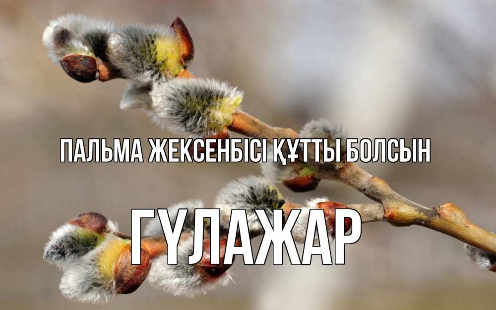 Күн сайын ашық хат с именем, ГҮЛАЖАР Пальма жексенбісі құтты болсын Верба Онлайн тегін жүктеп алу тілектері бар керемет карта 