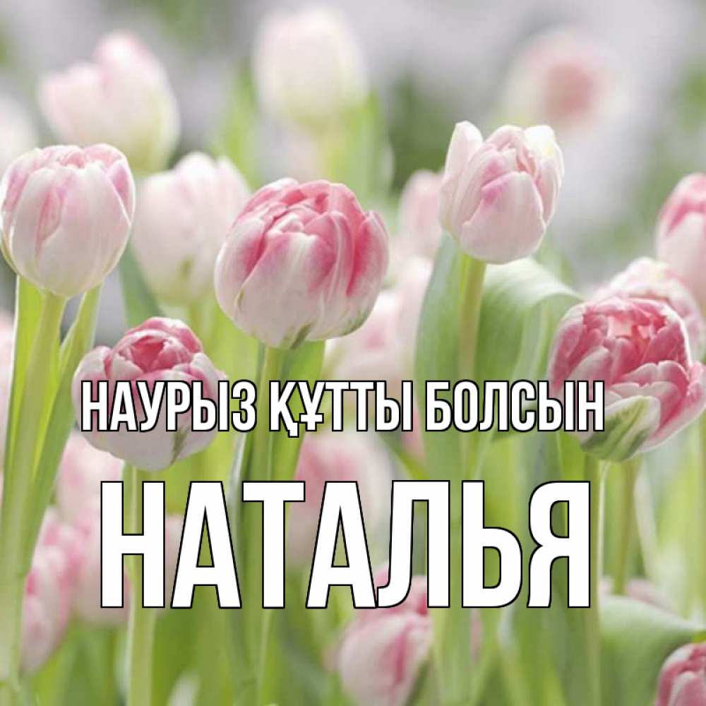 Күн сайын ашық хат с именем, Наталья Наурыз құтты болсын цветы Онлайн тегін жүктеп алу тілектері бар керемет карта 