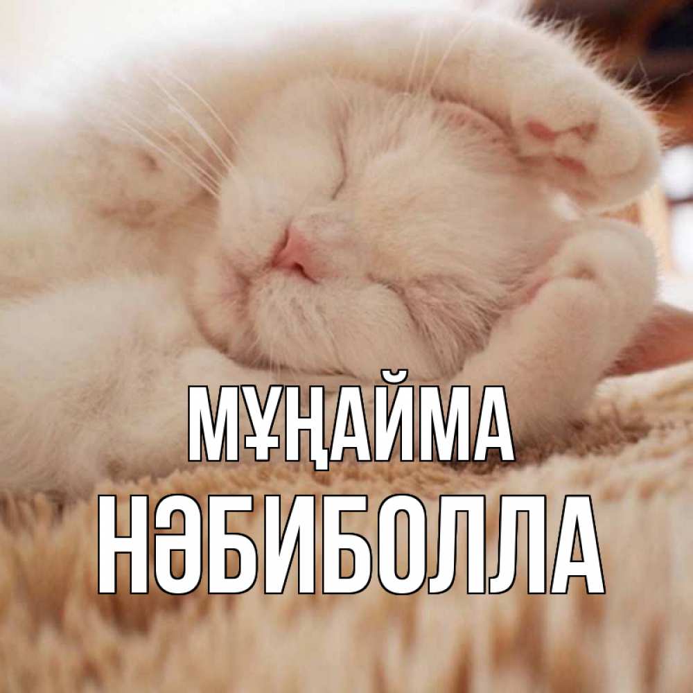 Күн сайын ашық хат с именем, НӘБИБОЛЛА Мұңайма белый кот Онлайн тегін жүктеп алу тілектері бар керемет карта 