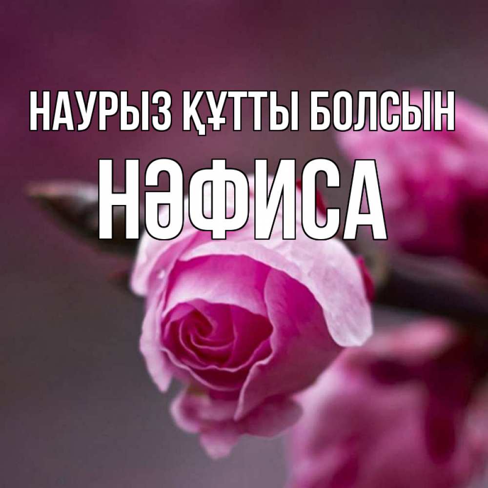 Күн сайын ашық хат с именем, НӘФИСА Наурыз құтты болсын весна Онлайн тегін жүктеп алу тілектері бар керемет карта 
