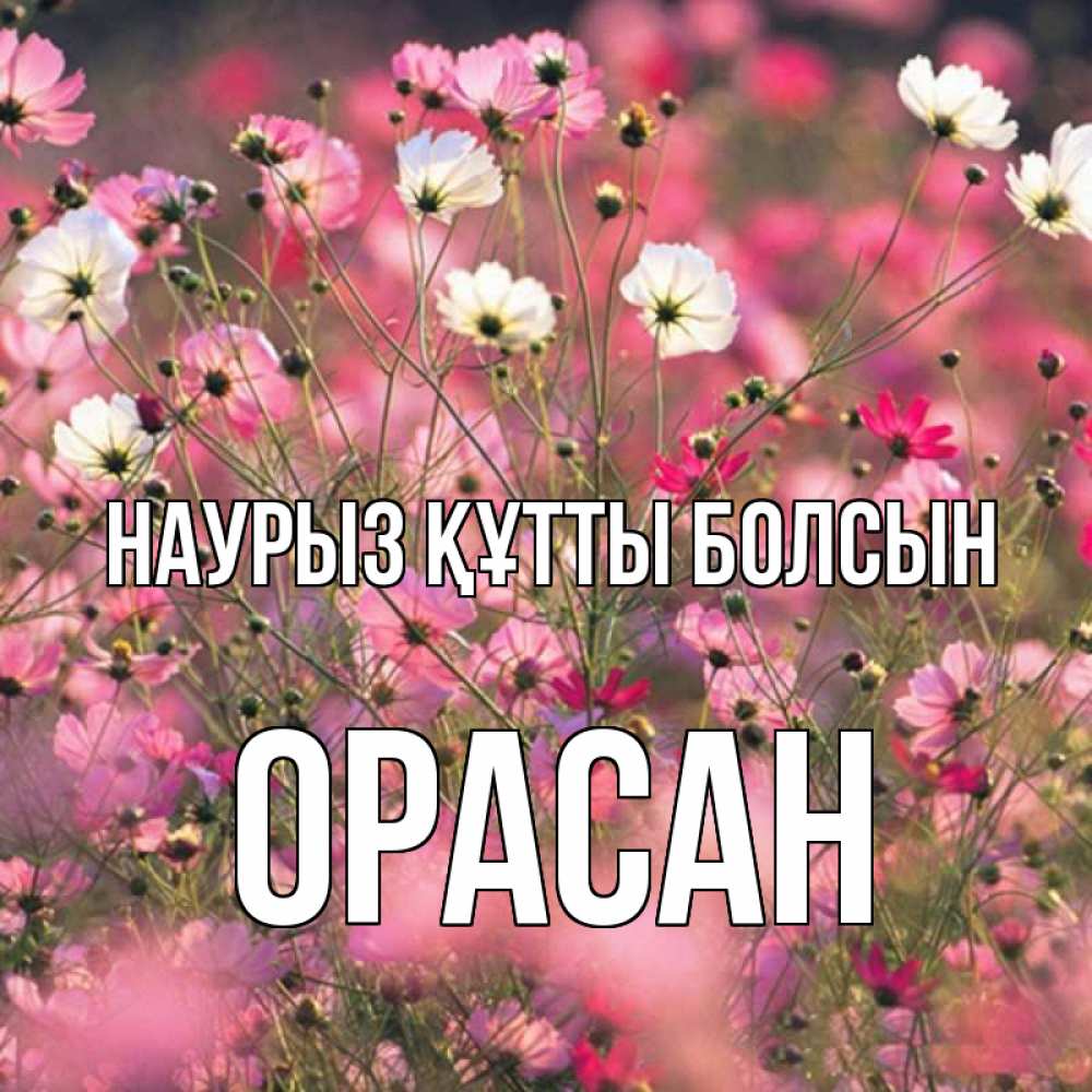 Күн сайын ашық хат с именем, ОРАСАН Наурыз құтты болсын красиво 1 Онлайн тегін жүктеп алу тілектері бар керемет карта 