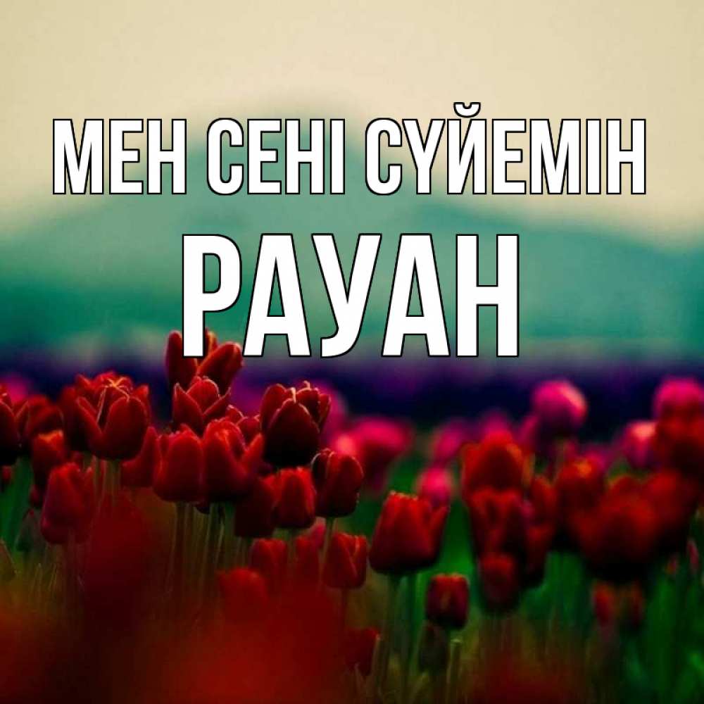 Күн сайын ашық хат с именем, РАУАН Мен сені сүйемін тюльпаны 4 Онлайн тегін жүктеп алу тілектері бар керемет карта 
