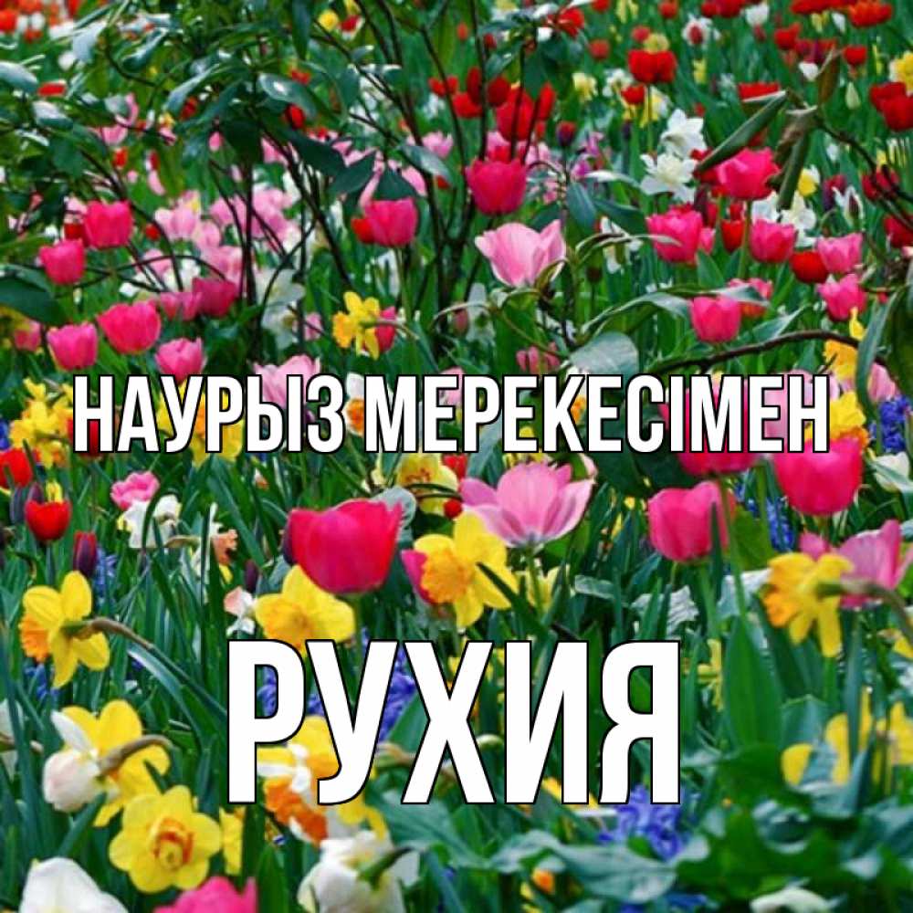 Күн сайын ашық хат с именем, РУХИЯ Наурыз мерекесімен с наурызом праздником весны поздравления для женщины Онлайн тегін жүктеп алу тілектері бар керемет карта 
