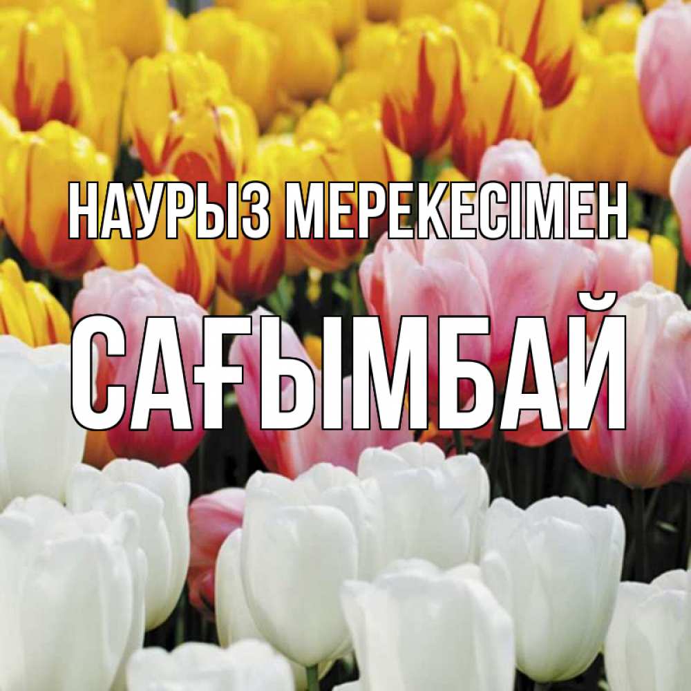 Күн сайын ашық хат с именем, Сағымбай Наурыз мерекесімен разноцветные цветы Онлайн тегін жүктеп алу тілектері бар керемет карта 