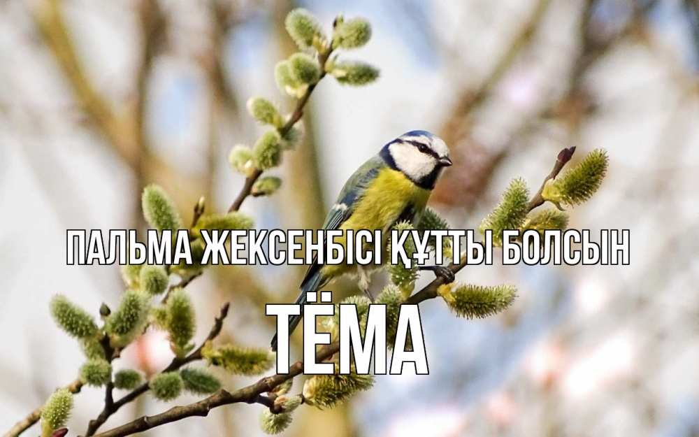 Күн сайын ашық хат с именем, Тёма Пальма жексенбісі құтты болсын верба Онлайн тегін жүктеп алу тілектері бар керемет карта 