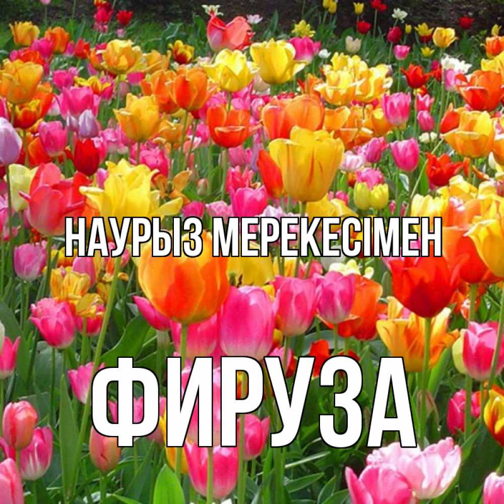 Күн сайын ашық хат с именем, ФИРУЗА Наурыз мерекесімен праздник весны наурыз 4 Онлайн тегін жүктеп алу тілектері бар керемет карта 