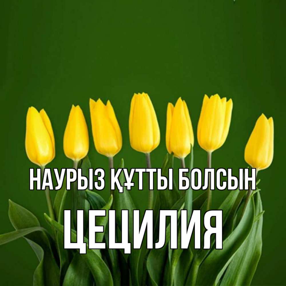 Күн сайын ашық хат с именем, Цецилия Наурыз құтты болсын желтого цвета 3 Онлайн тегін жүктеп алу тілектері бар керемет карта 