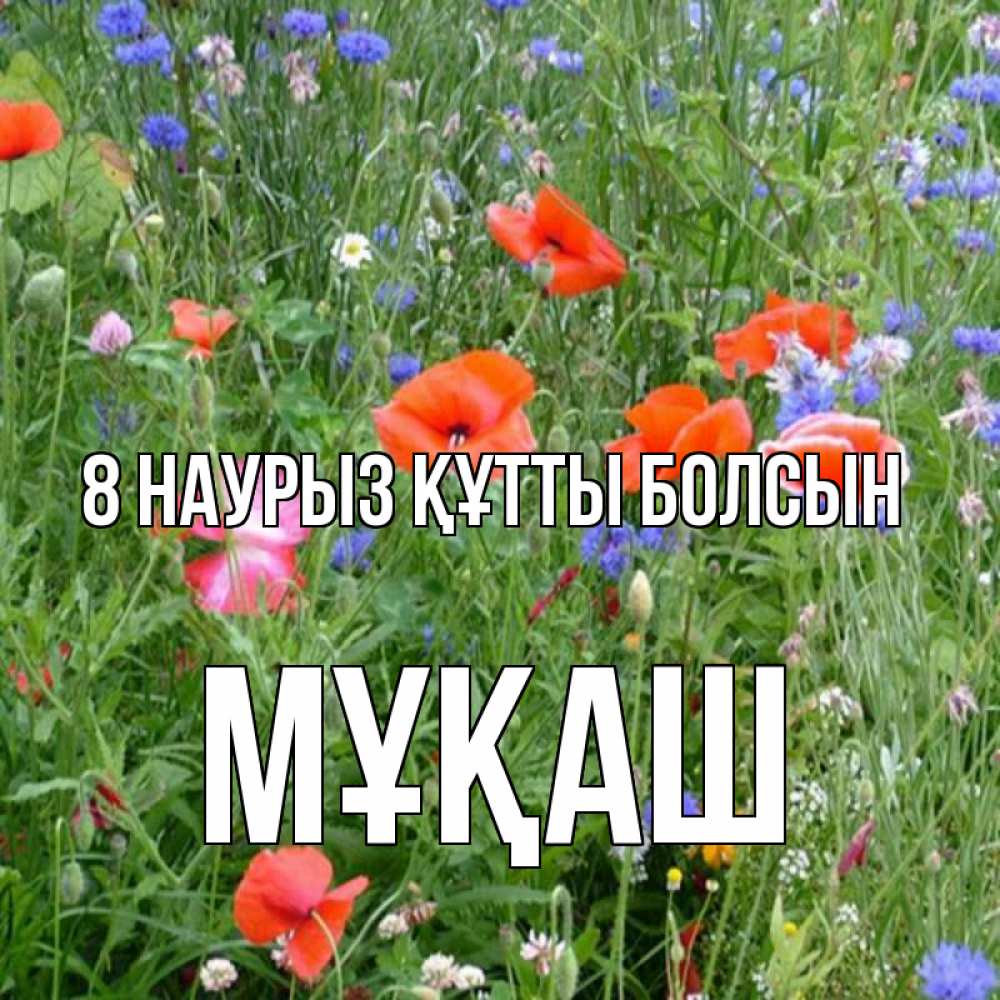 Күн сайын ашық хат с именем, Мұқаш 8 наурыз құтты болсын международный женский день 4 Онлайн тегін жүктеп алу тілектері бар керемет карта 