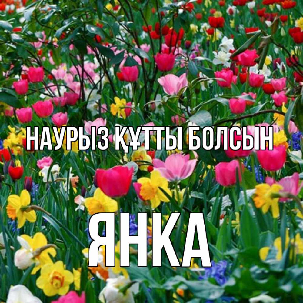 Күн сайын ашық хат с именем, Янка Наурыз құтты болсын с наурызом поздравления для женщины Онлайн тегін жүктеп алу тілектері бар керемет карта 