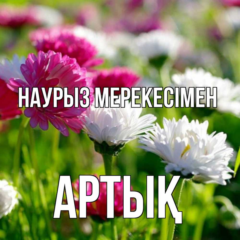 Күн сайын ашық хат с именем, Артық Наурыз мерекесімен праздник весны наурыз красота Онлайн тегін жүктеп алу тілектері бар керемет карта 