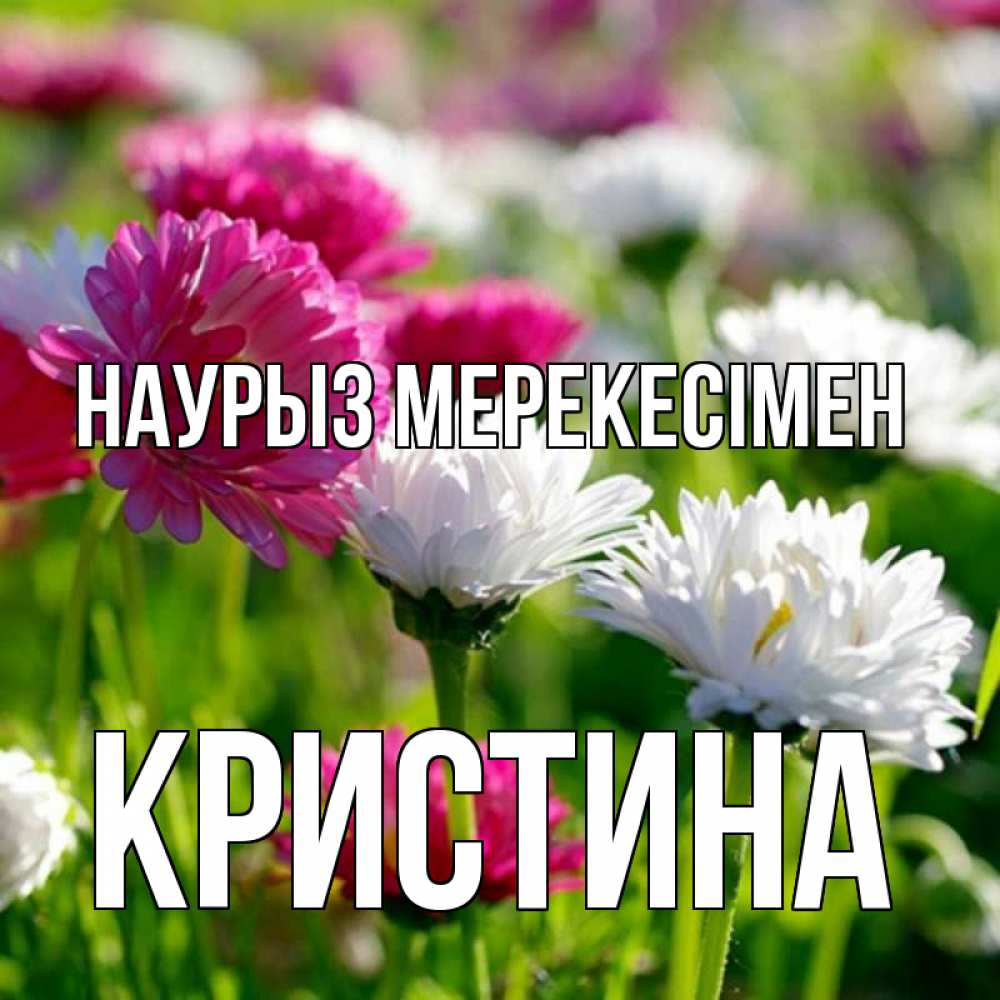 Күн сайын ашық хат с именем, Кристина Наурыз мерекесімен праздник весны наурыз красота Онлайн тегін жүктеп алу тілектері бар керемет карта 