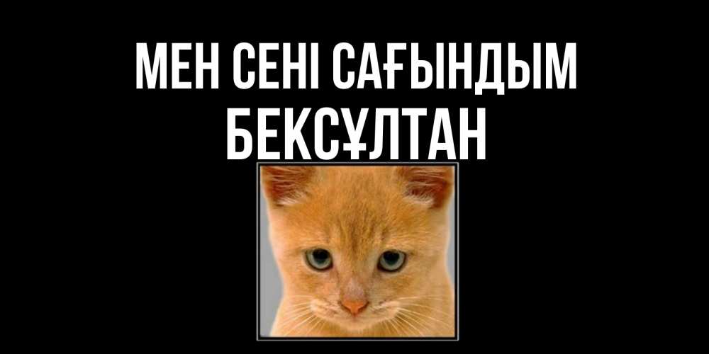 Күн сайын ашық хат с именем, Бексұлтан Мен сені сағындым открытки рыжий котенок скучает по тебе Онлайн тегін жүктеп алу тілектері бар керемет карта 