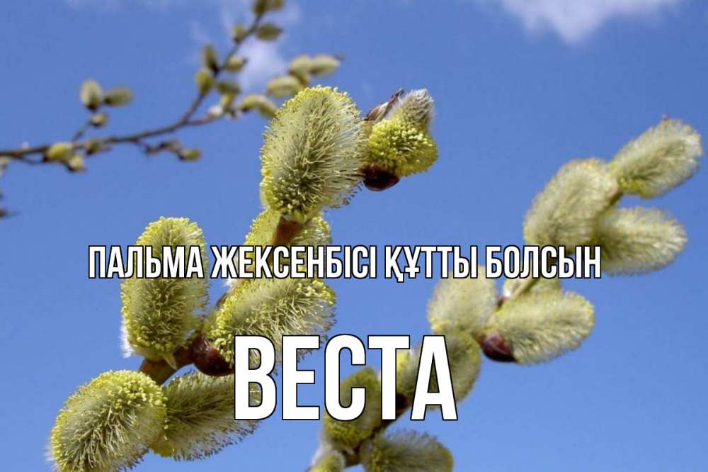 Күн сайын ашық хат с именем, Веста Пальма жексенбісі құтты болсын верба Онлайн тегін жүктеп алу тілектері бар керемет карта 