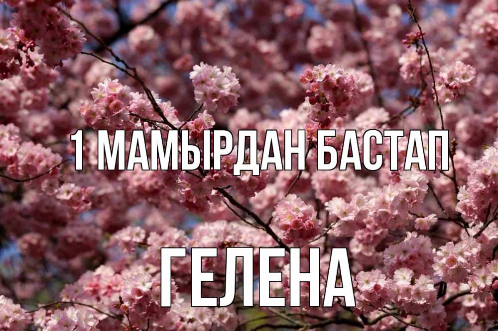 Күн сайын ашық хат с именем, Гелена 1 мамырдан бастап С 1 мая Онлайн тегін жүктеп алу тілектері бар керемет карта 