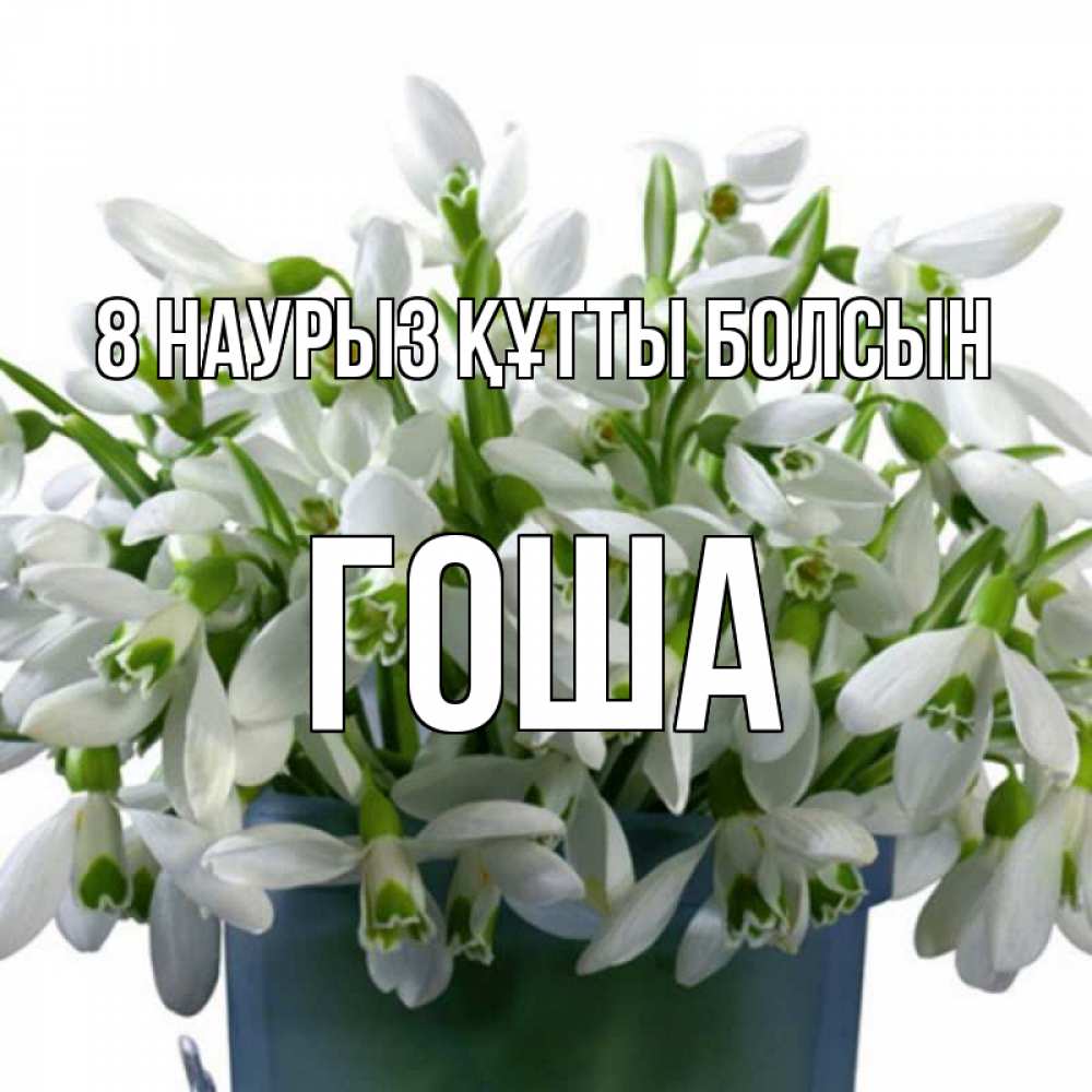 Күн сайын ашық хат с именем, Гоша 8 наурыз құтты болсын цветы к международному женскому дню Онлайн тегін жүктеп алу тілектері бар керемет карта 