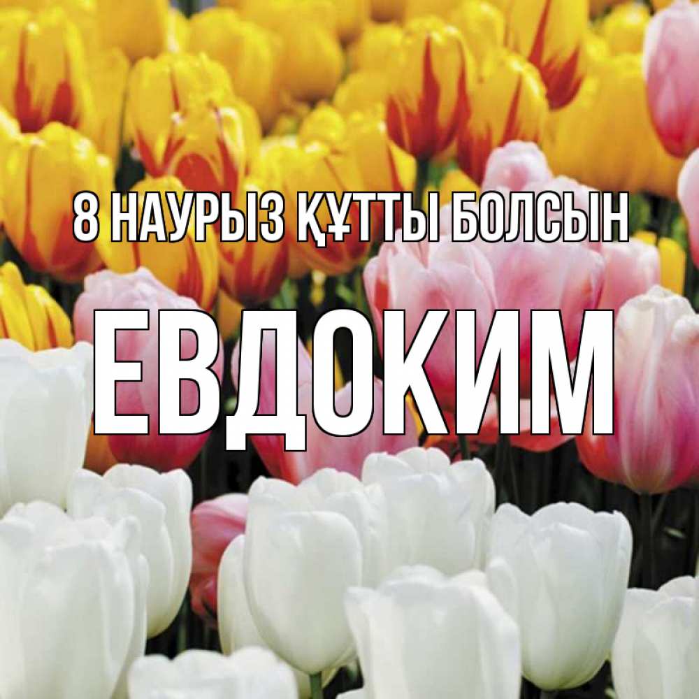 Күн сайын ашық хат с именем, Евдоким 8 наурыз құтты болсын разноцветные цветы Онлайн тегін жүктеп алу тілектері бар керемет карта 