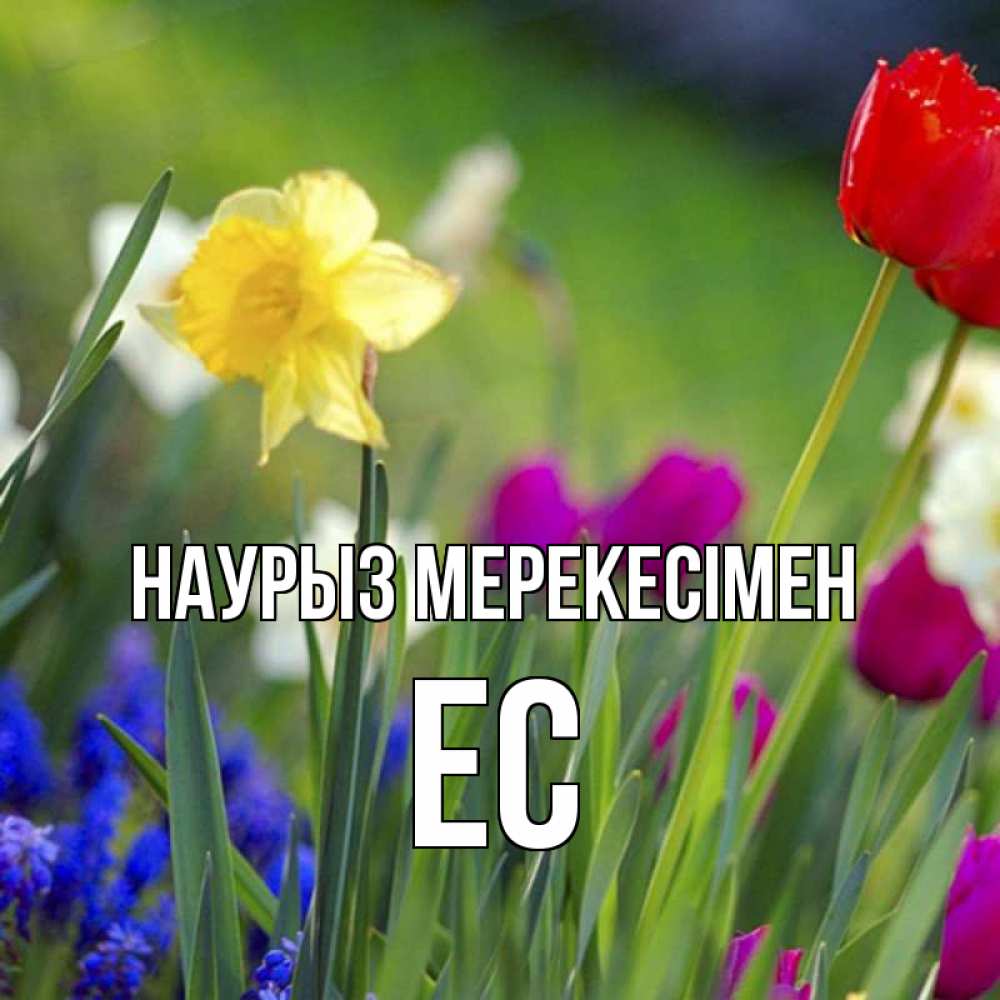 Күн сайын ашық хат с именем, Ес Наурыз мерекесімен праздник весны наурыз 3 Онлайн тегін жүктеп алу тілектері бар керемет карта 