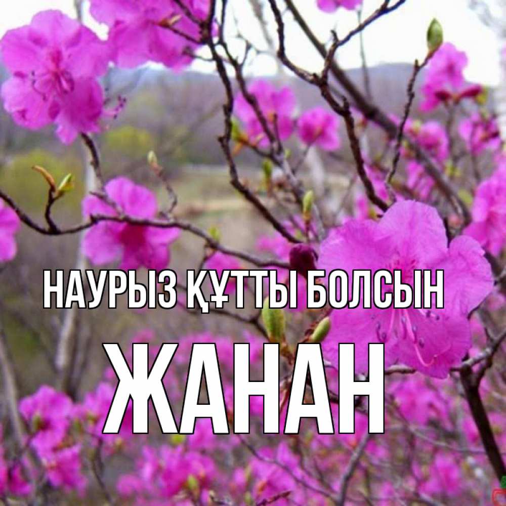 Күн сайын ашық хат с именем, ЖАНАН Наурыз құтты болсын наурыз мейрамы кутты болсын Онлайн тегін жүктеп алу тілектері бар керемет карта 