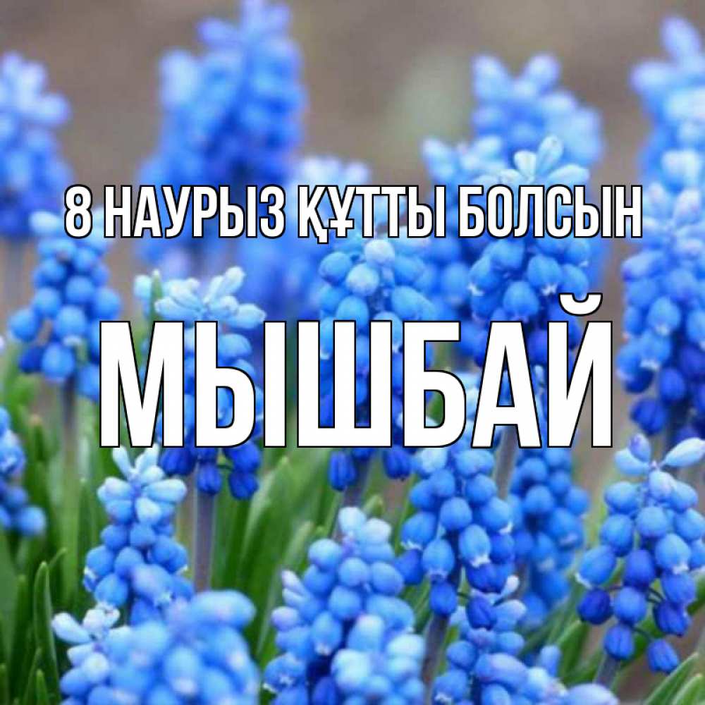 Күн сайын ашық хат с именем, МЫШБАЙ 8 наурыз құтты болсын Поздравительная открытка для женщин с цветами на праздничную дату Онлайн тегін жүктеп алу тілектері бар керемет карта 