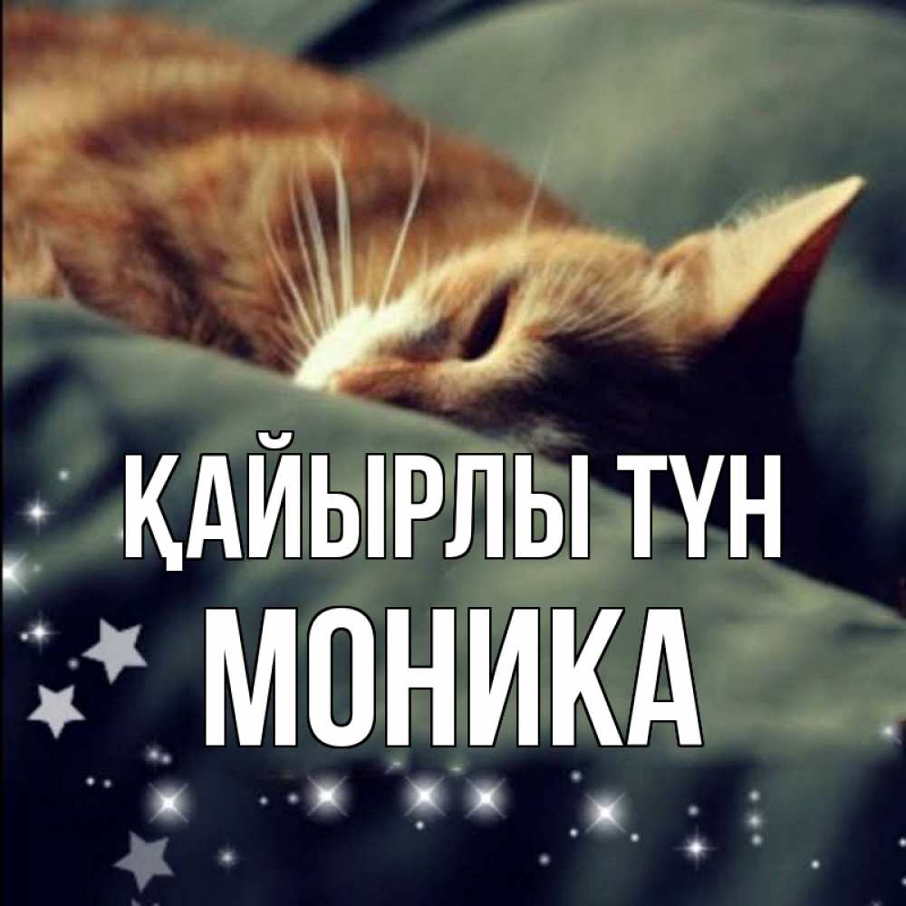 Күн сайын ашық хат с именем, Моника Қайырлы түн кроватка Онлайн тегін жүктеп алу тілектері бар керемет карта 