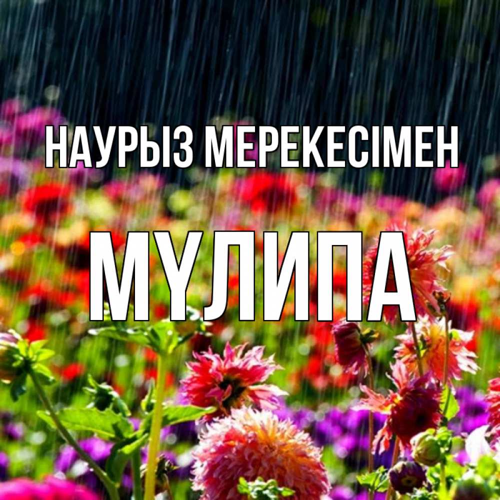 Күн сайын ашық хат с именем, МҮЛИПА Наурыз мерекесімен цветы под дождиком к международному женскому дню Онлайн тегін жүктеп алу тілектері бар керемет карта 