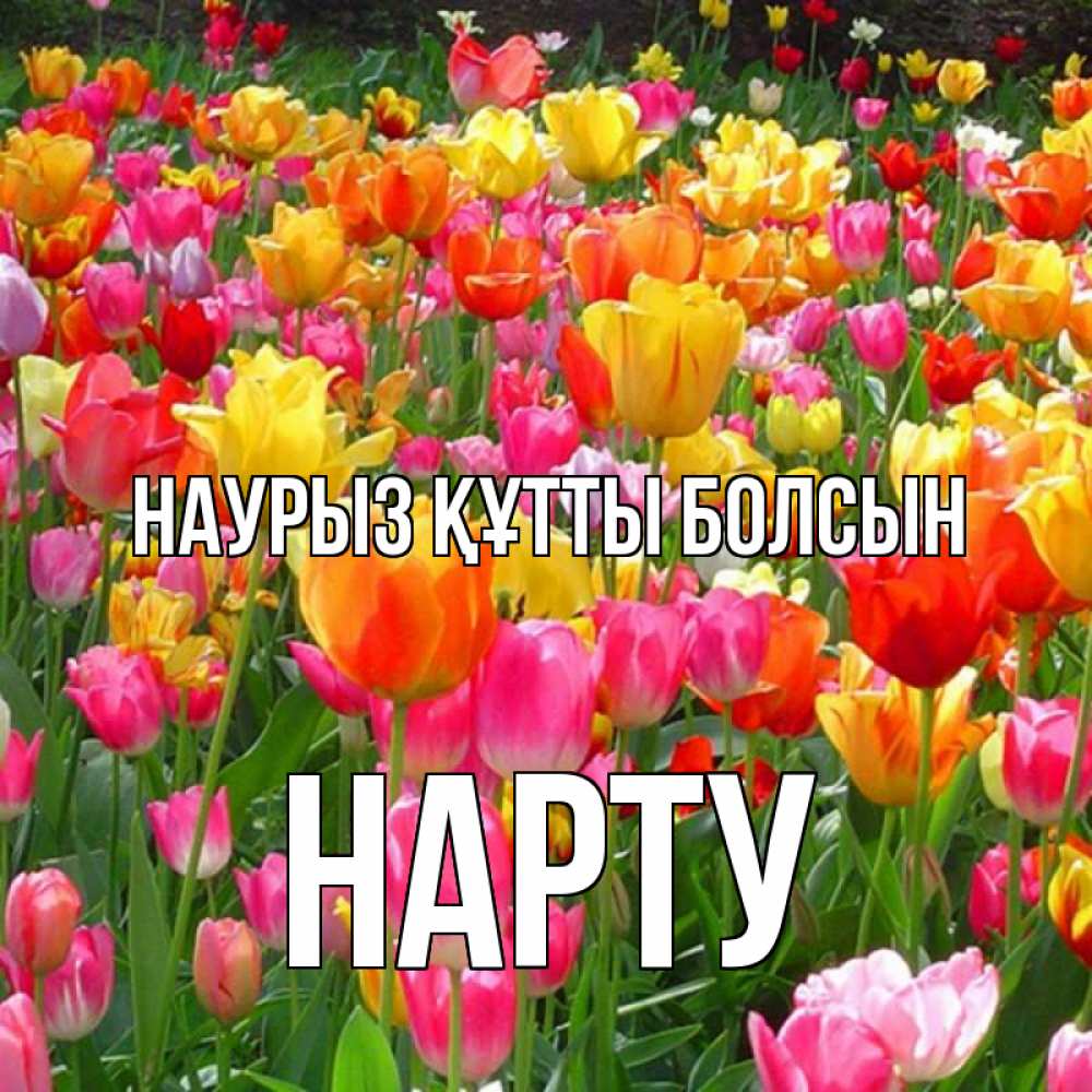 Күн сайын ашық хат с именем, НАРТУ Наурыз құтты болсын на наурыз  ура ура Онлайн тегін жүктеп алу тілектері бар керемет карта 