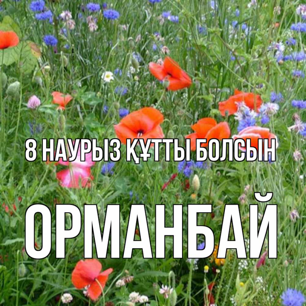 Күн сайын ашық хат с именем, ОРМАНБАЙ 8 наурыз құтты болсын международный женский день 4 Онлайн тегін жүктеп алу тілектері бар керемет карта 