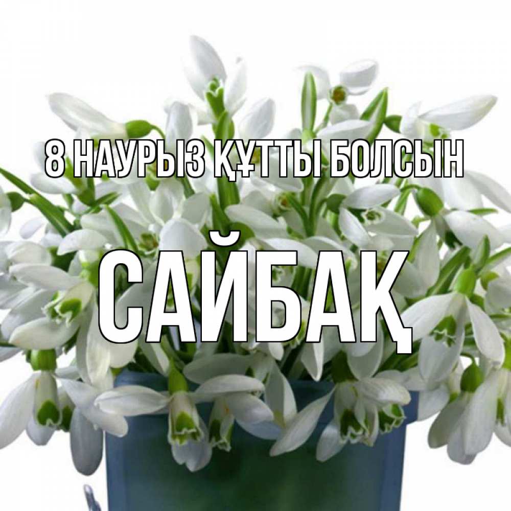Күн сайын ашық хат с именем, САЙБАҚ 8 наурыз құтты болсын цветы к международному женскому дню Онлайн тегін жүктеп алу тілектері бар керемет карта 