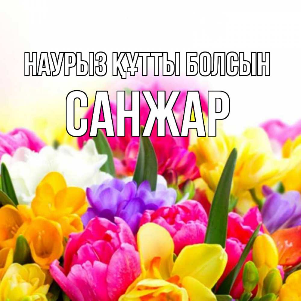 Күн сайын ашық хат с именем, САНЖАР Наурыз құтты болсын тюльпаны Онлайн тегін жүктеп алу тілектері бар керемет карта 