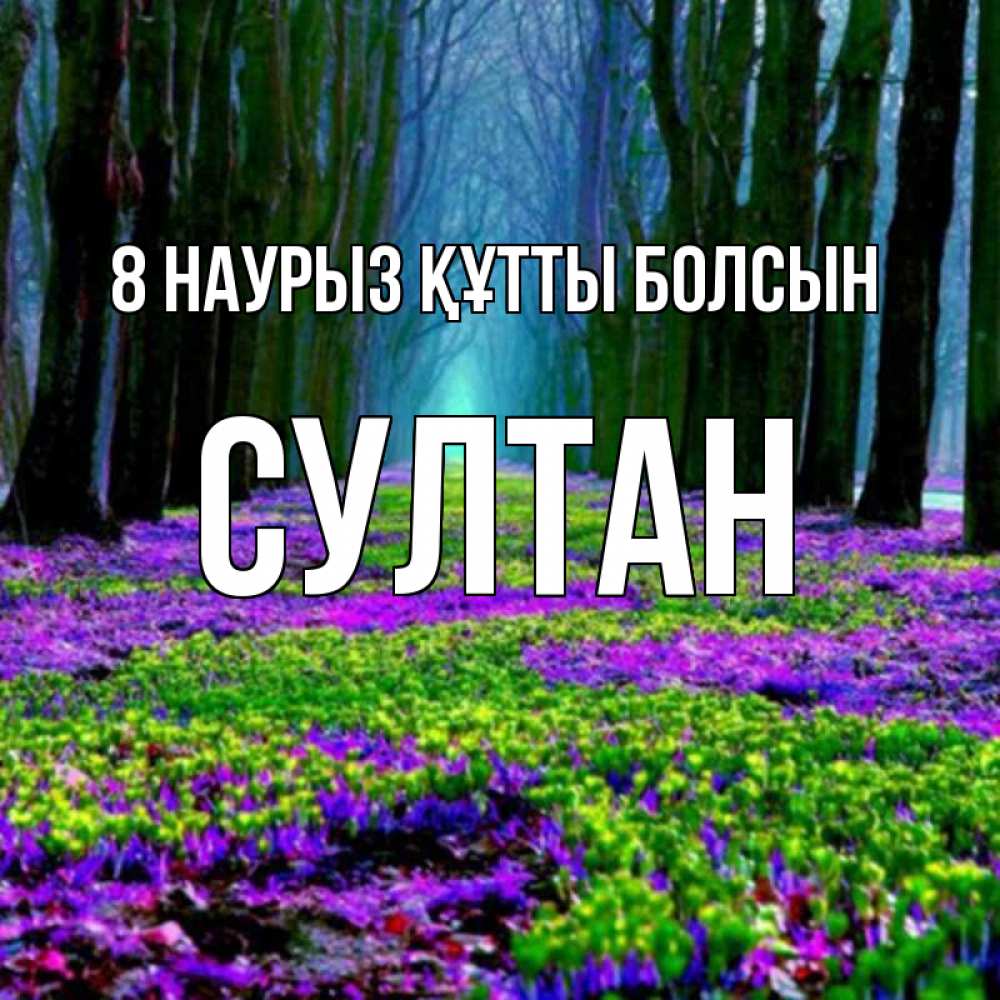 Күн сайын ашық хат с именем, Султан 8 наурыз құтты болсын фиолетовые цветы в лесу 1 Онлайн тегін жүктеп алу тілектері бар керемет карта 
