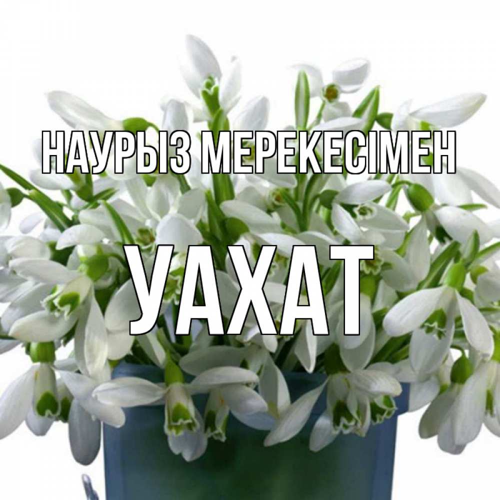 Күн сайын ашық хат с именем, УАХАТ Наурыз мерекесімен цветы к наурызу новый год в Казахстане Онлайн тегін жүктеп алу тілектері бар керемет карта 