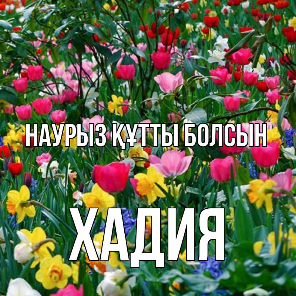 Күн сайын ашық хат с именем, ХАДИЯ Наурыз құтты болсын с наурызом поздравления для женщины Онлайн тегін жүктеп алу тілектері бар керемет карта 