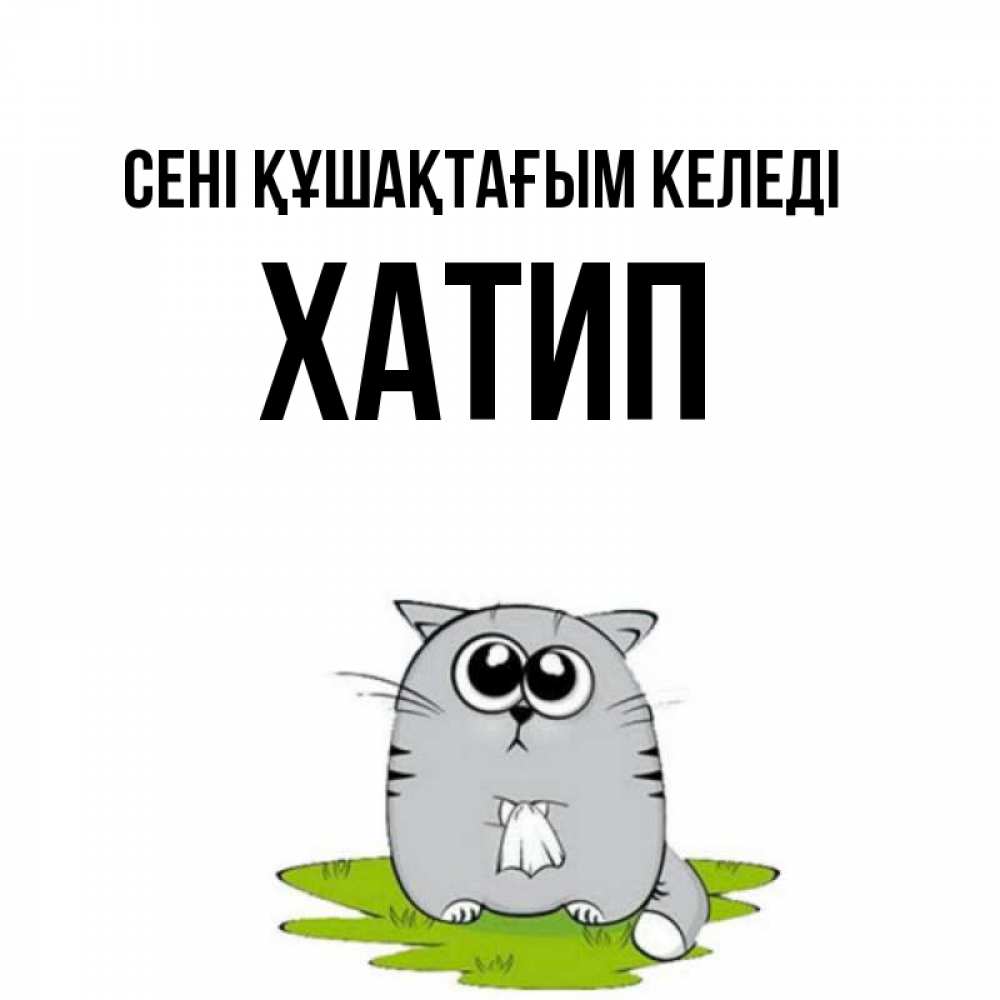 Күн сайын ашық хат с именем, ХАТИП сені құшақтағым келеді котик теребит платочек сидя на травке Онлайн тегін жүктеп алу тілектері бар керемет карта 