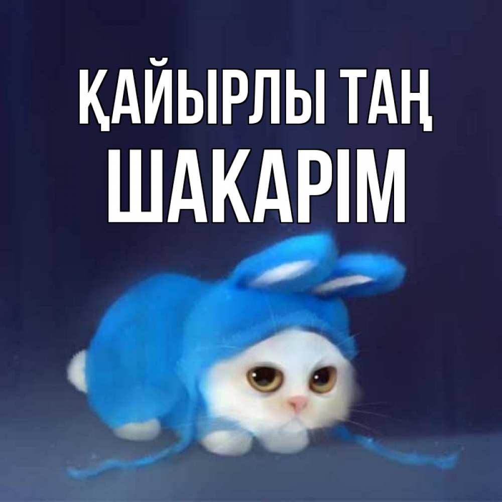 Күн сайын ашық хат с именем, ШАКАРІМ Қайырлы таң открытки красивые скачать бесплатно Онлайн тегін жүктеп алу тілектері бар керемет карта 
