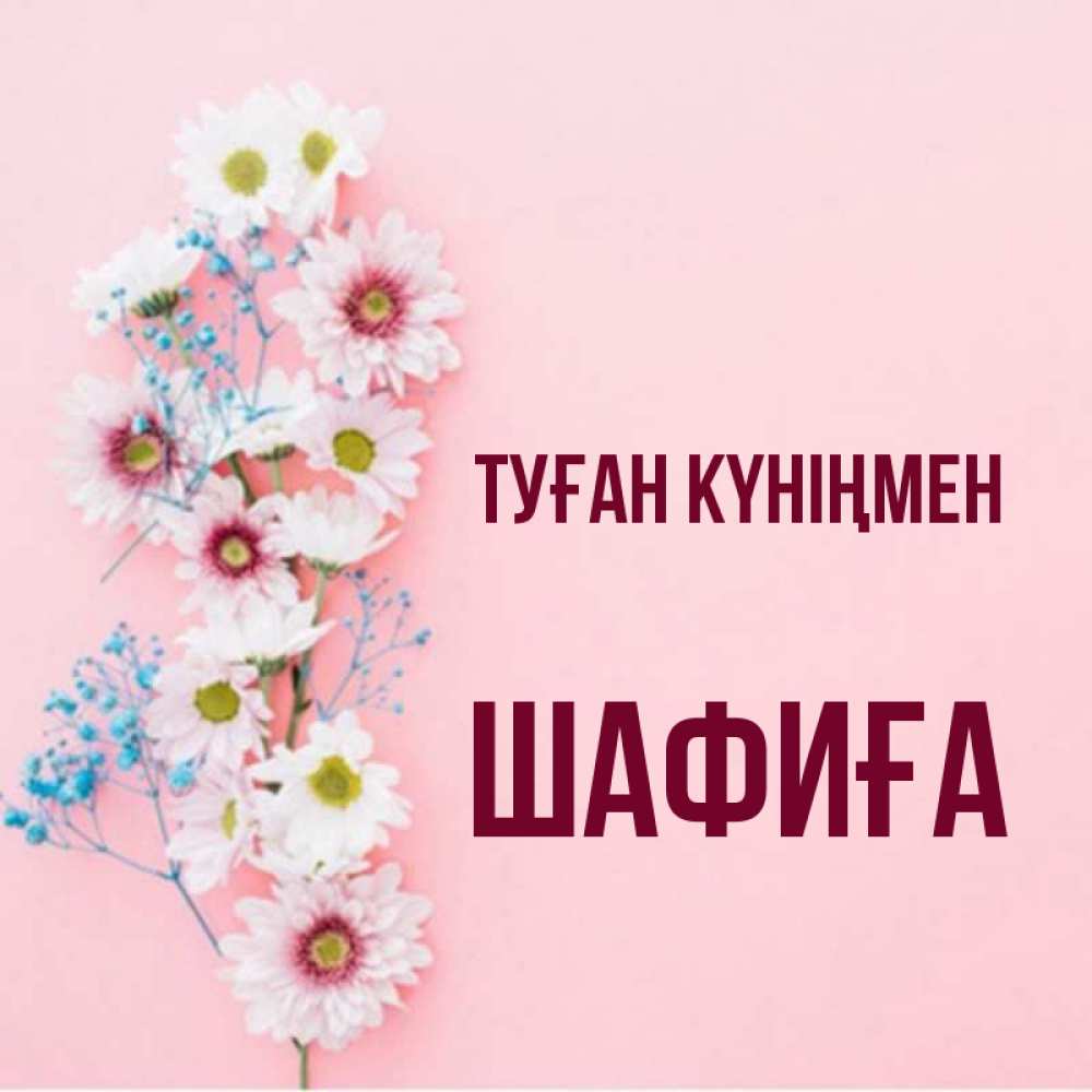 Күн сайын ашық хат с именем, ШАФИҒА Туған күніңмен Родная моя с днем рождения тебя картинка с цветами белыми и голубыми Онлайн тегін жүктеп алу тілектері бар керемет карта 