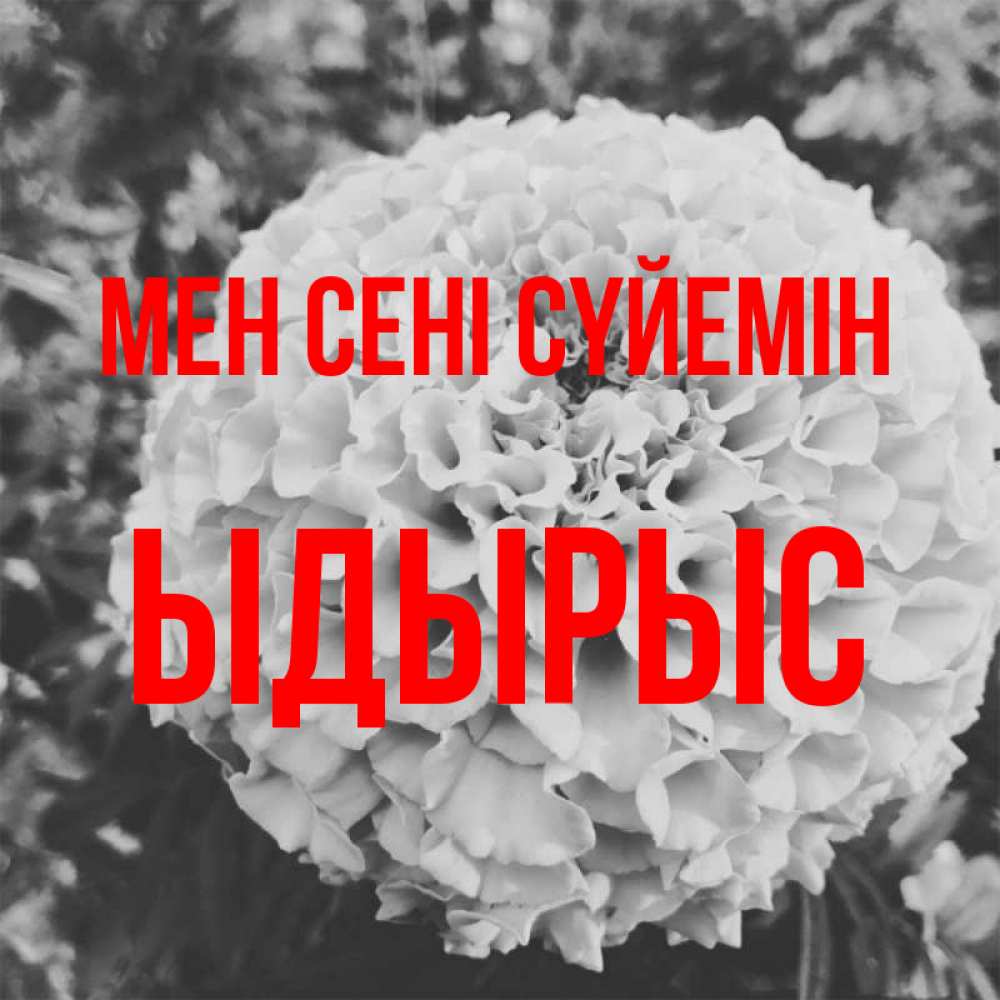 Күн сайын ашық хат с именем, ЫДЫРЫС Мен сені сүйемін подпись Онлайн тегін жүктеп алу тілектері бар керемет карта 