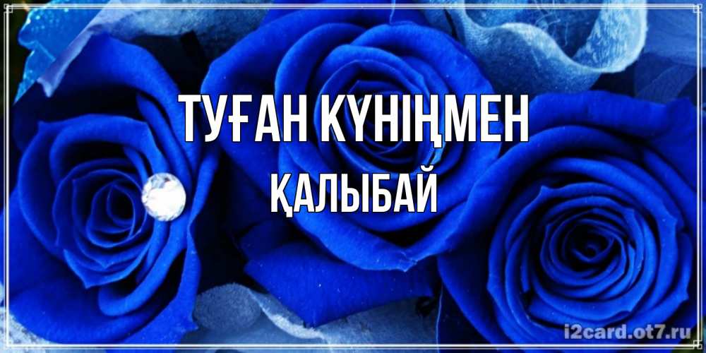 Күн сайын ашық хат с именем, Қалыбай Туған күніңмен синие розы в росе Онлайн тегін жүктеп алу тілектері бар керемет карта 