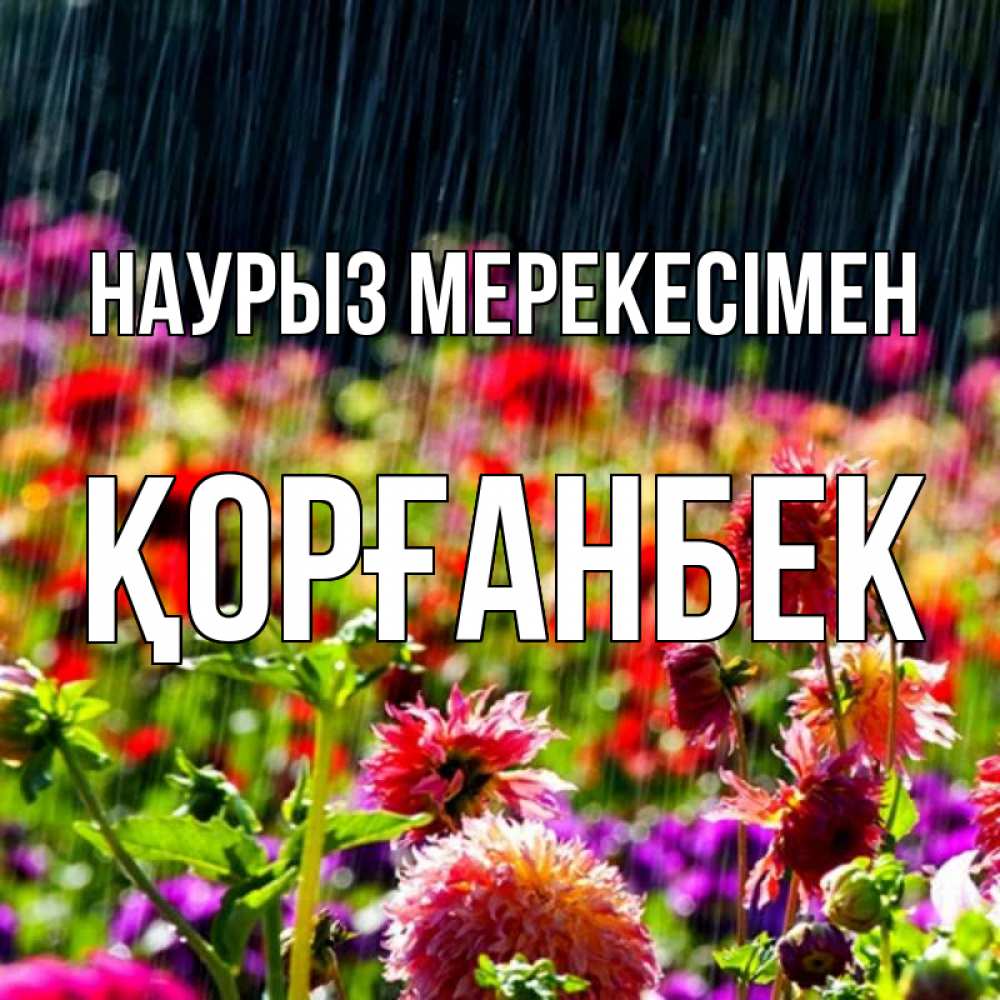 Күн сайын ашық хат с именем, Қорғанбек Наурыз мерекесімен цветы под дождиком к международному женскому дню Онлайн тегін жүктеп алу тілектері бар керемет карта 