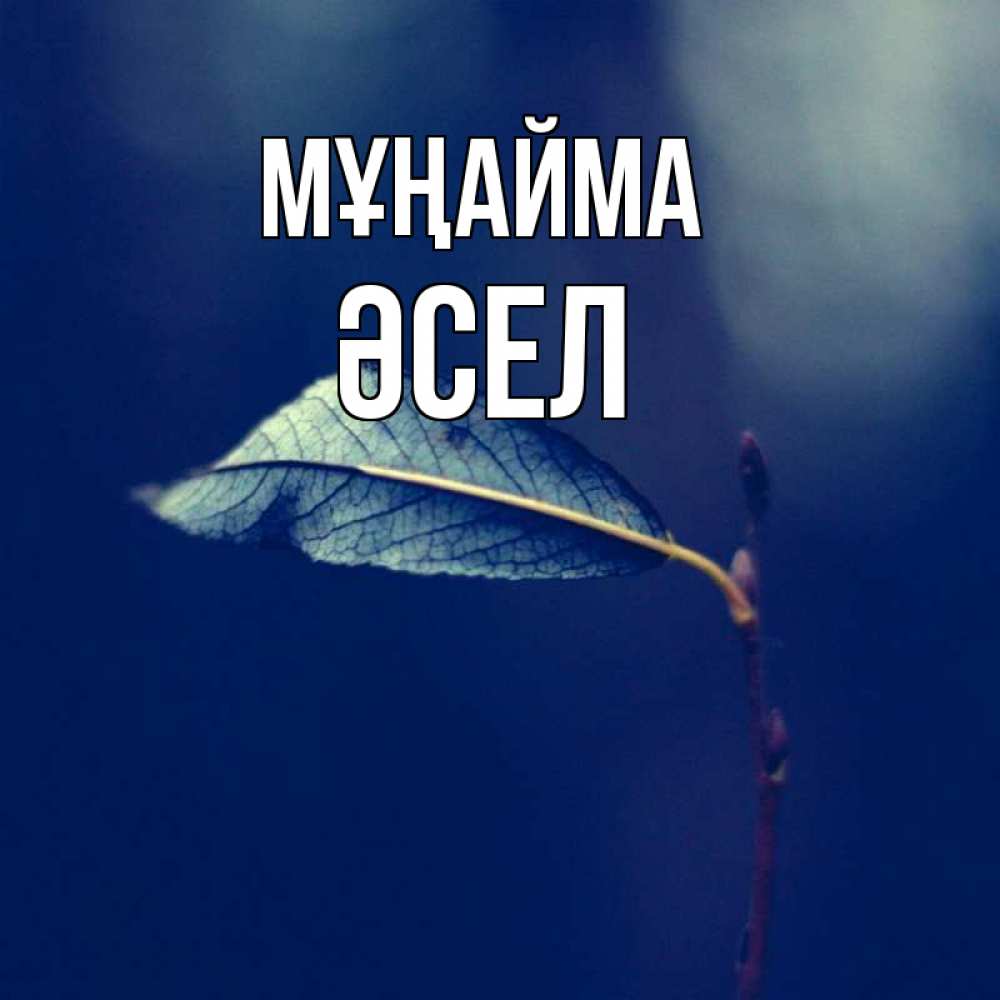 Күн сайын ашық хат с именем, ӘСЕЛ Мұңайма растение Онлайн тегін жүктеп алу тілектері бар керемет карта 