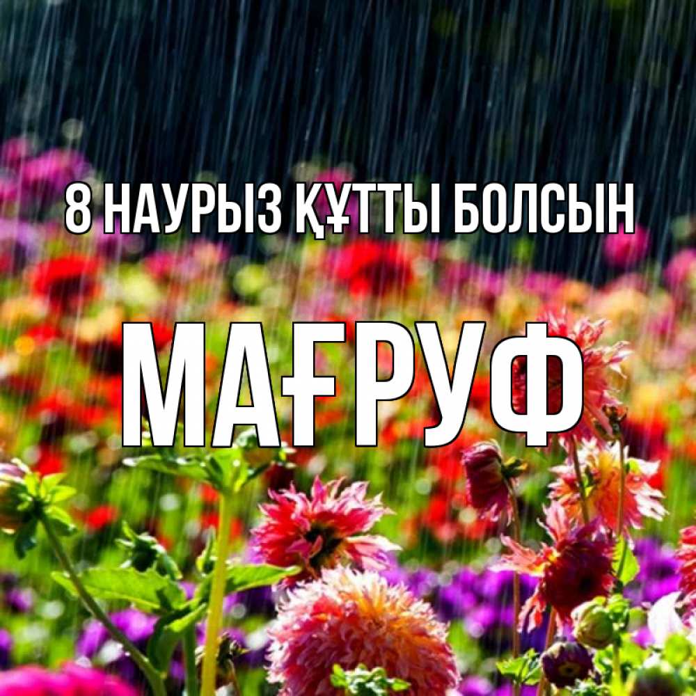 Күн сайын ашық хат с именем, МАҒРУФ 8 наурыз құтты болсын цветы под дождиком к международному женскому дню Онлайн тегін жүктеп алу тілектері бар керемет карта 