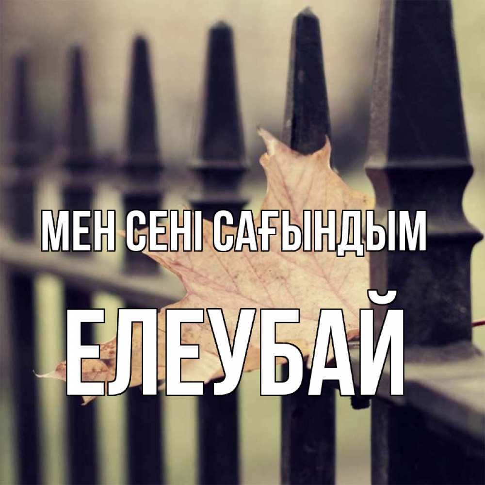 Күн сайын ашық хат с именем, Елеубай Мен сені сағындым очень скучно Онлайн тегін жүктеп алу тілектері бар керемет карта 