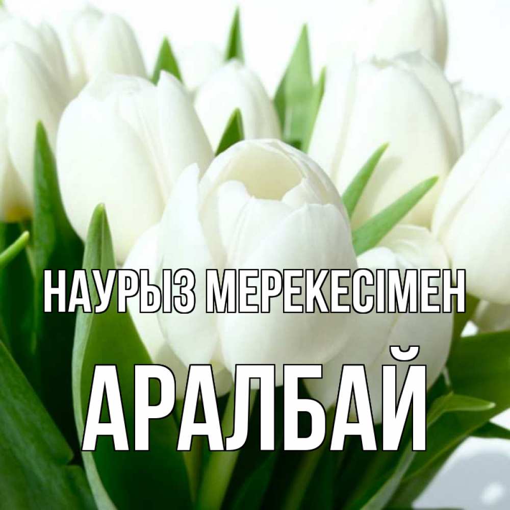 Күн сайын ашық хат с именем, Аралбай Наурыз мерекесімен цветы Онлайн тегін жүктеп алу тілектері бар керемет карта 