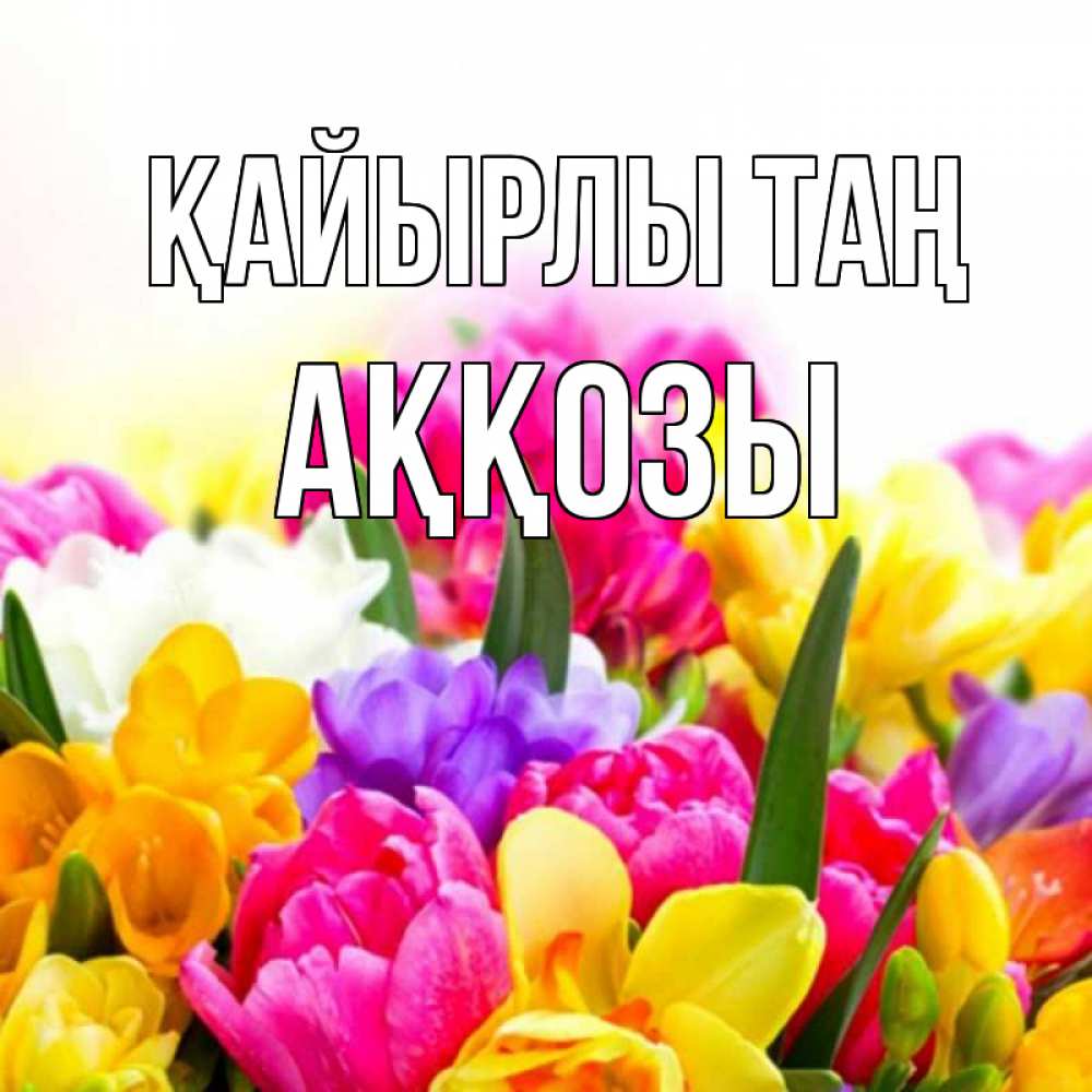 Күн сайын ашық хат с именем, Аққозы Қайырлы таң создать открытку со свое подписью Онлайн тегін жүктеп алу тілектері бар керемет карта 