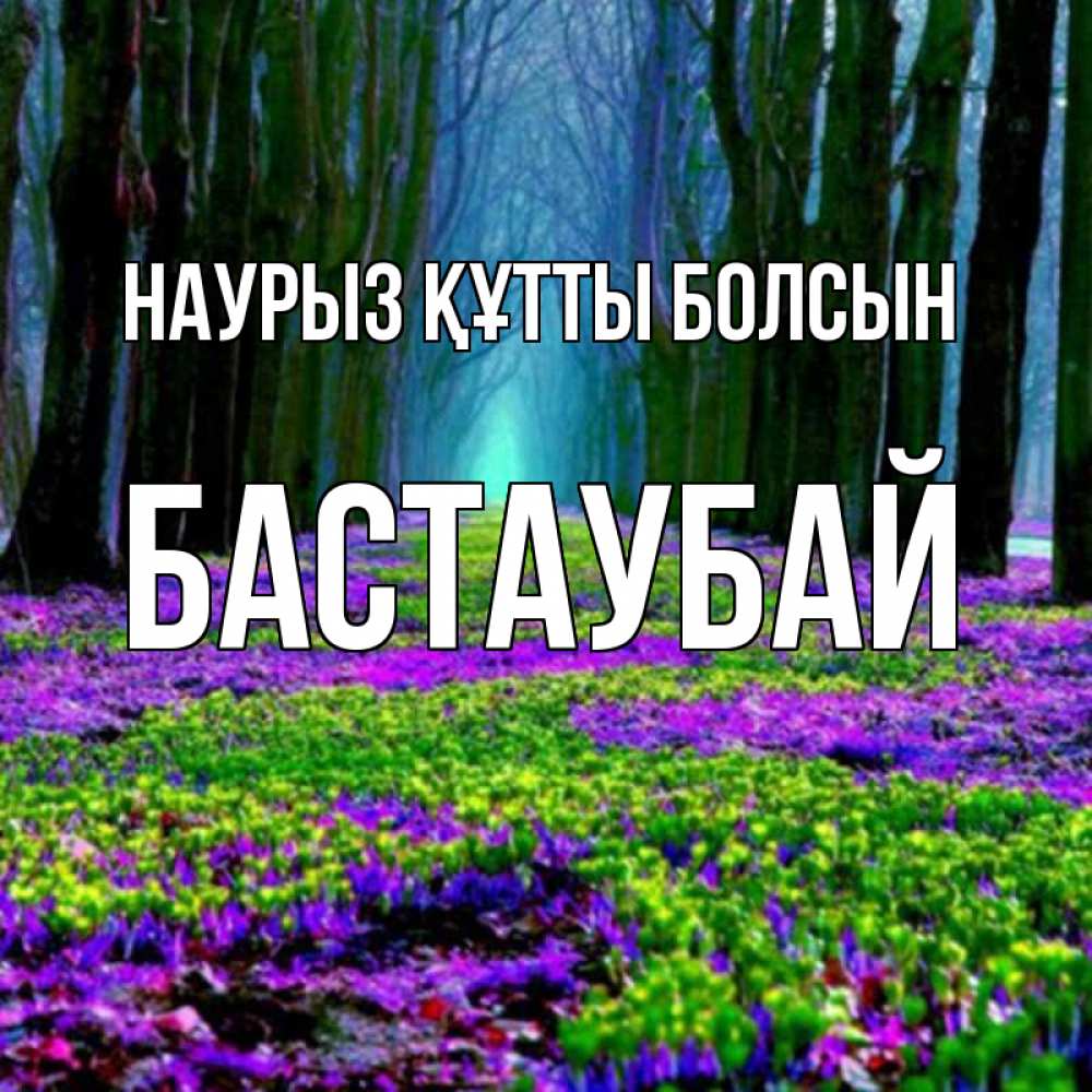 Күн сайын ашық хат с именем, Бастаубай Наурыз құтты болсын фиолетовые цветы в лесу 1 Онлайн тегін жүктеп алу тілектері бар керемет карта 