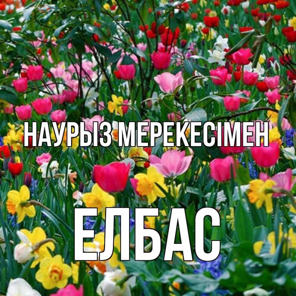 Күн сайын ашық хат с именем, Елбас Наурыз мерекесімен с наурызом праздником весны поздравления для женщины Онлайн тегін жүктеп алу тілектері бар керемет карта 